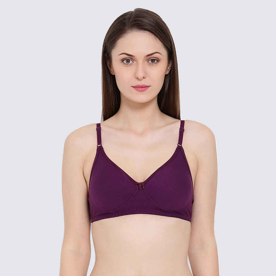 Clovia Women Non-Padded Non-Wired Full Coverage T-Shirt Bra - Blue, Lavender | 34C