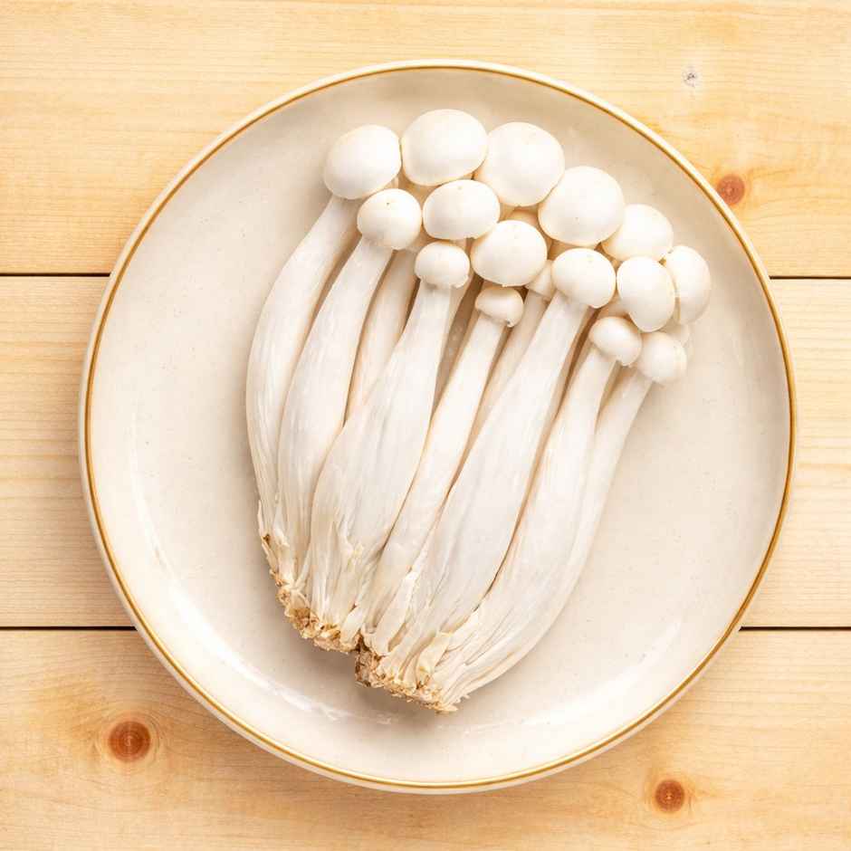 Mushroom Shimeji White