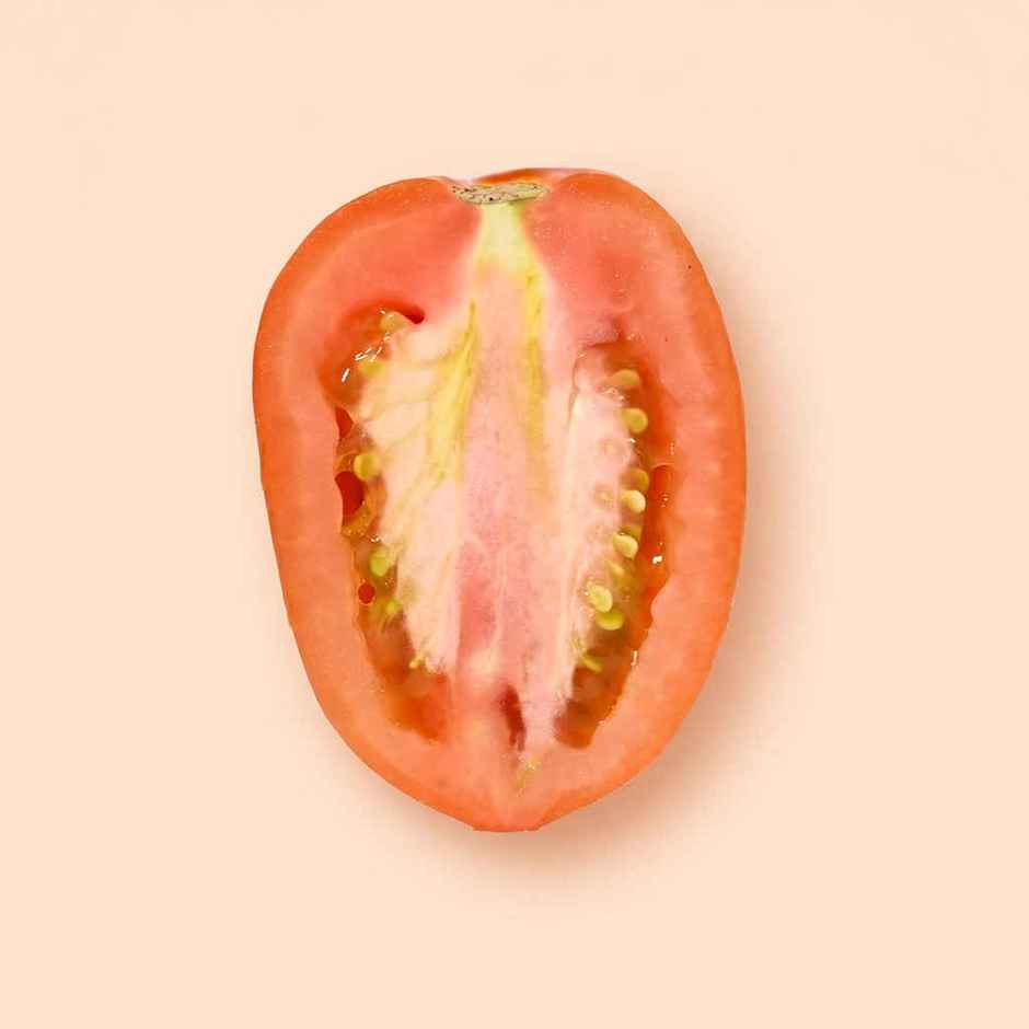 Bloom Tomato Hybrid