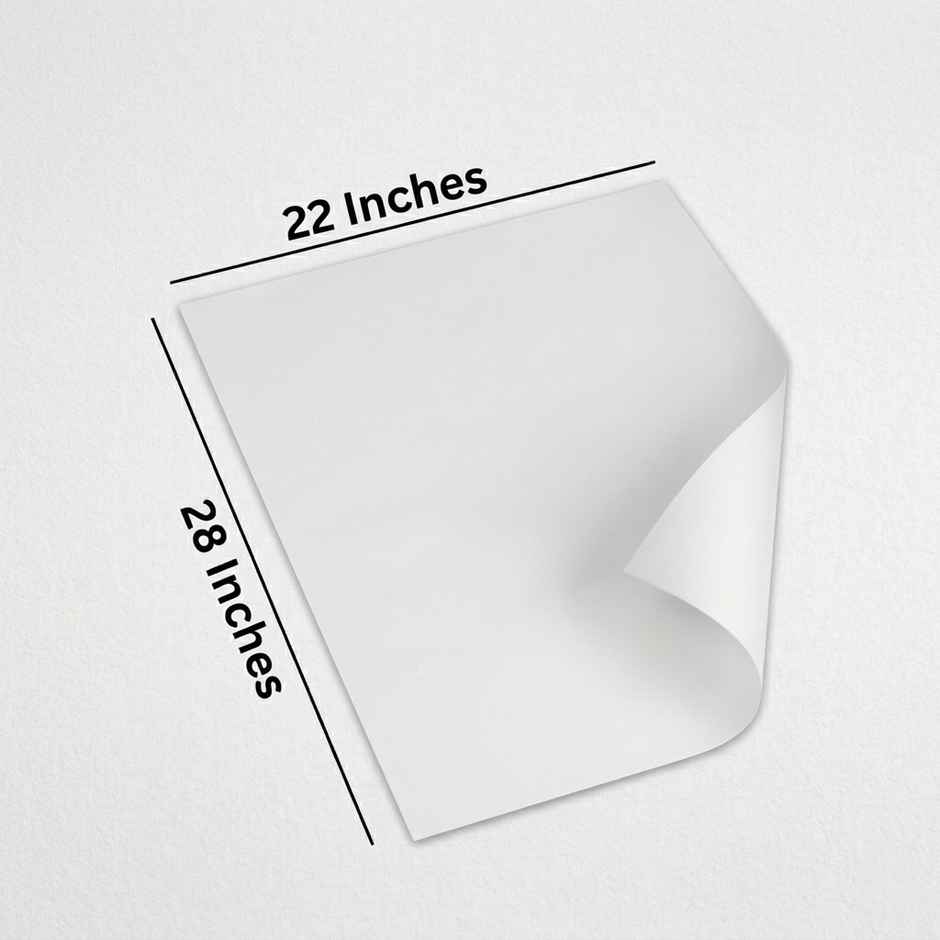 ABK White Chart Paper Premium Quality | 22 x 28 in | A1