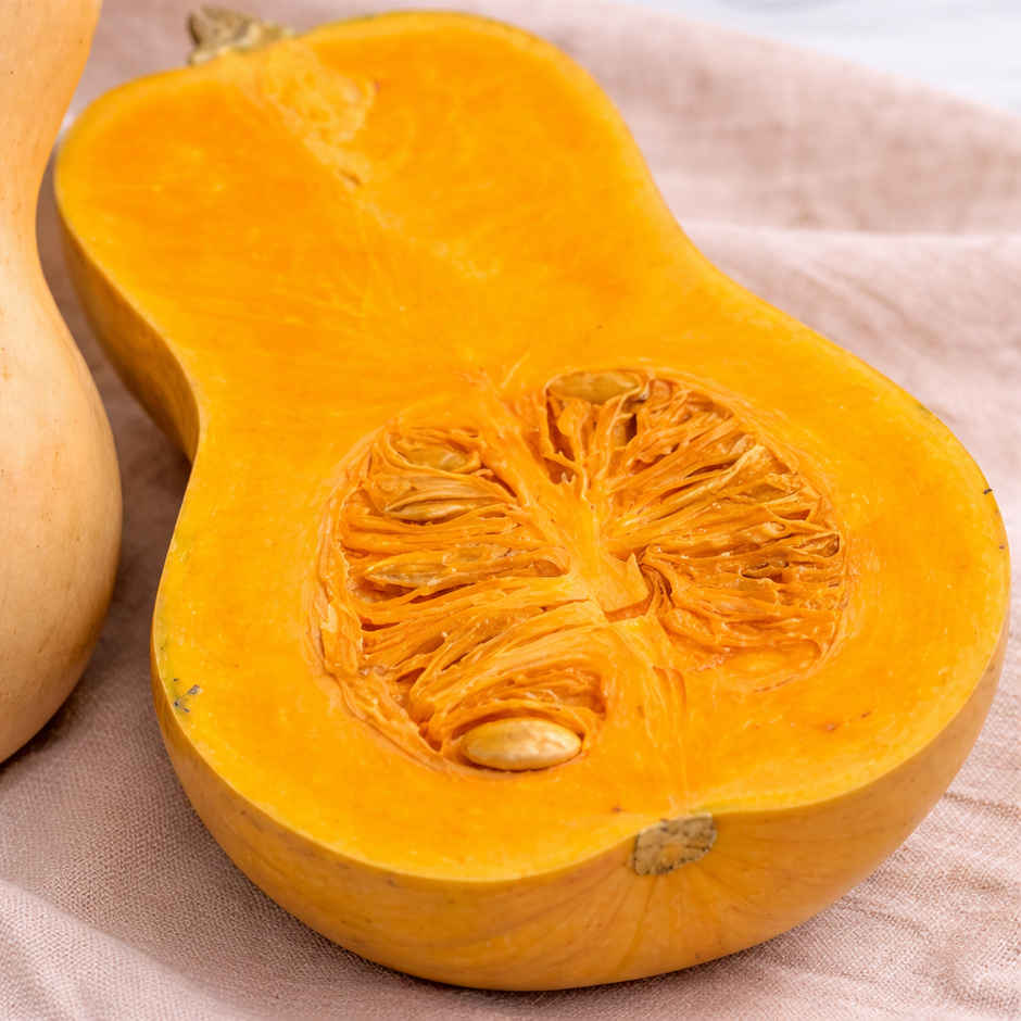 Butternut Squash 