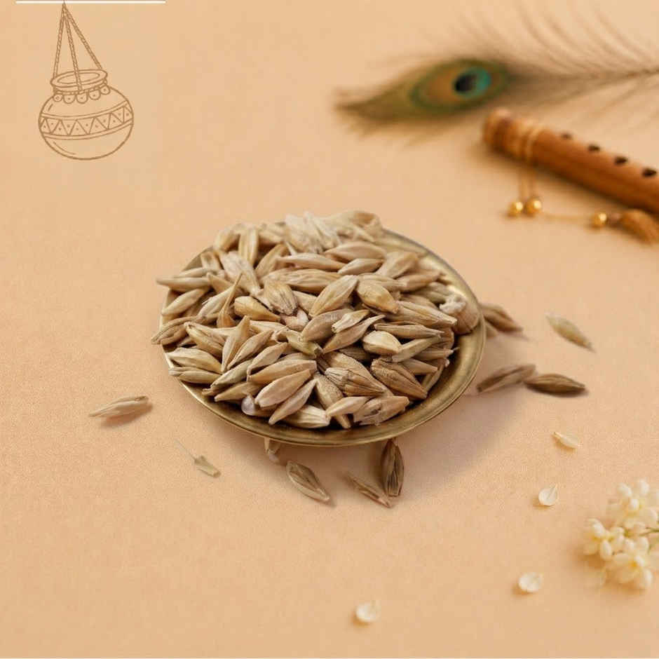 Barley Seeds | Jau | Happy Mail