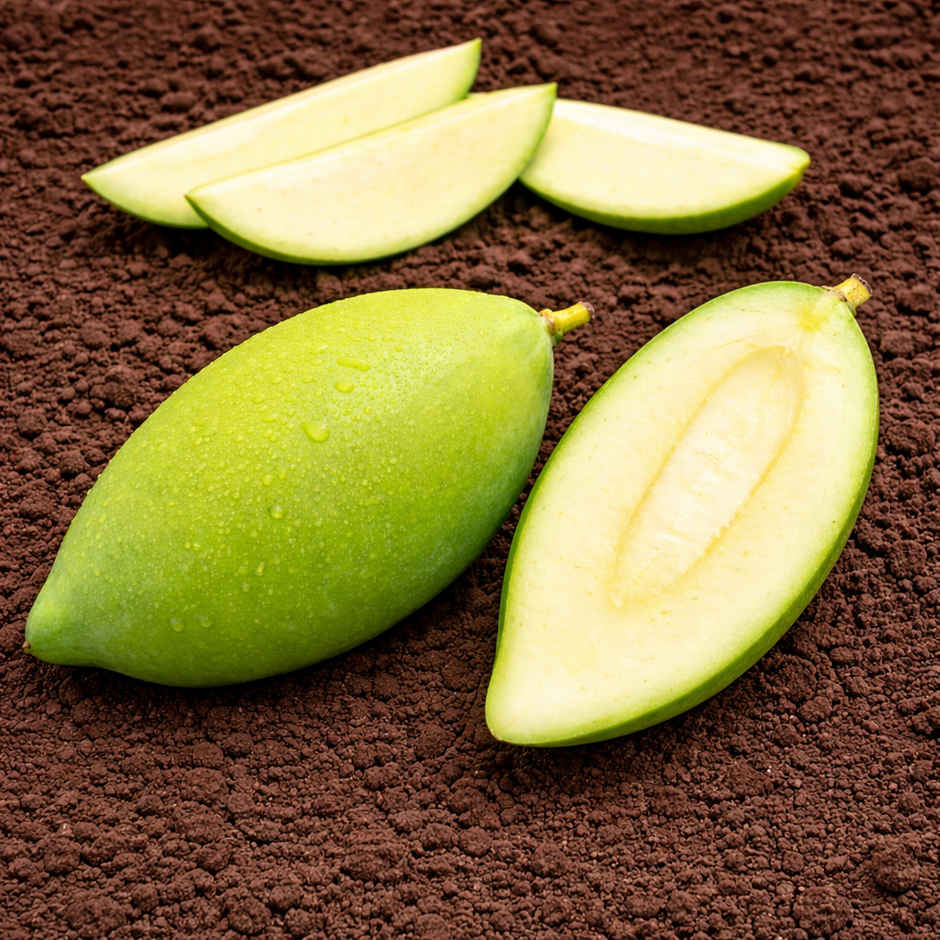 Organically Grown Mango Totapuri Raw