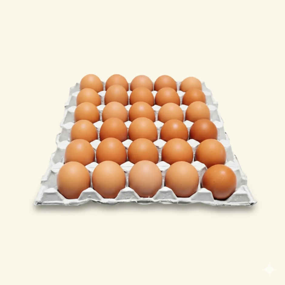 Fresh Brown Eggs