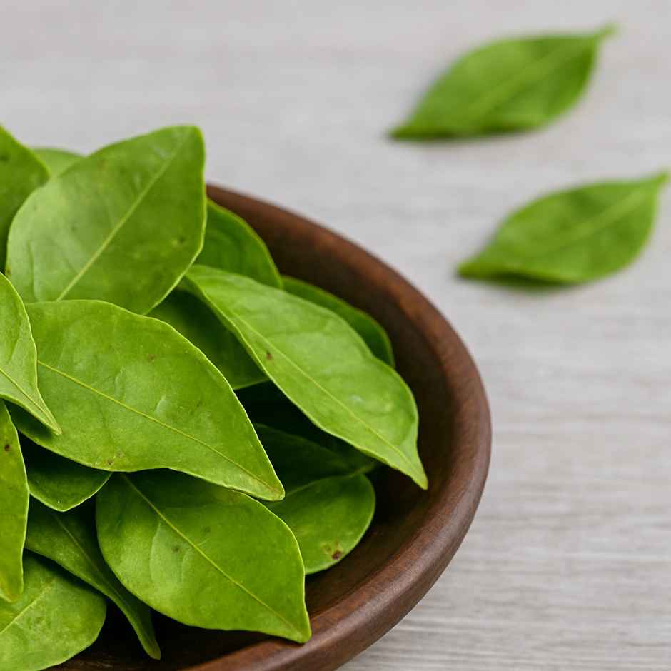 Bel Patra (Vilvam Leaves)