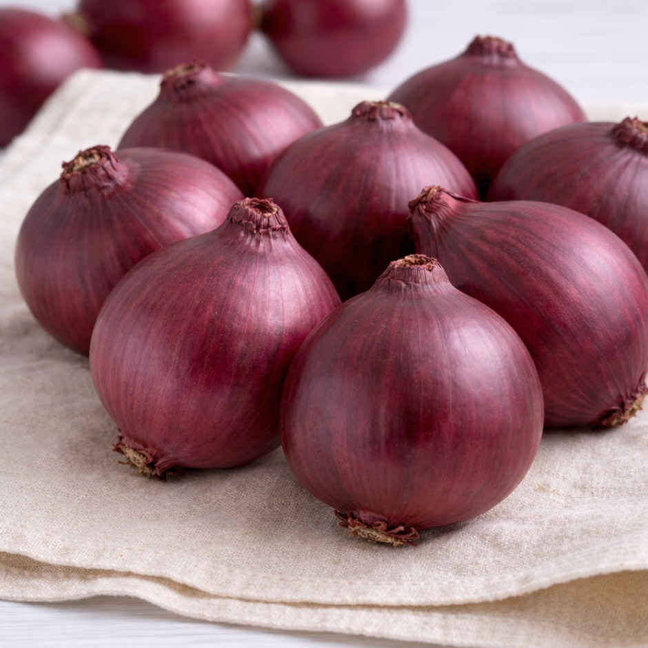 Onion Sukhsagar