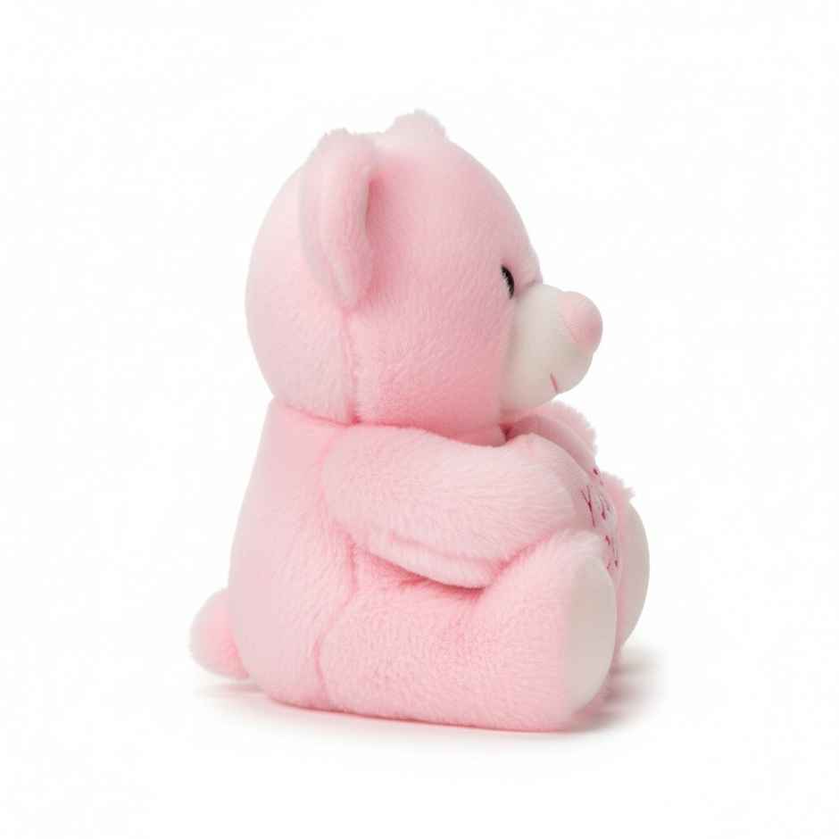DearJoy Teddy Bear with Message on a Heart Pink 30 cm