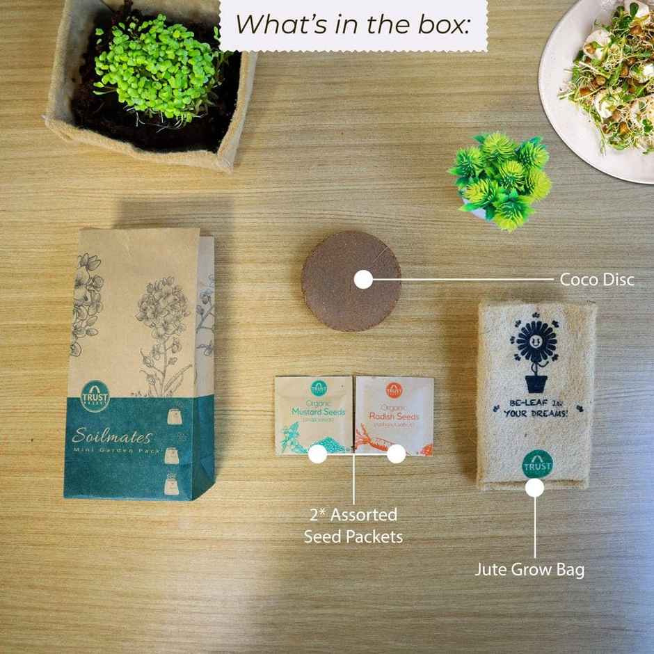 TrustBasket Soilmates Garden Kit | Microgreens Starter Kit for Indoor Growing