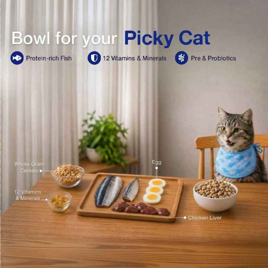 Purepet Ocean Fish Adult Dry Cat Food Combo 