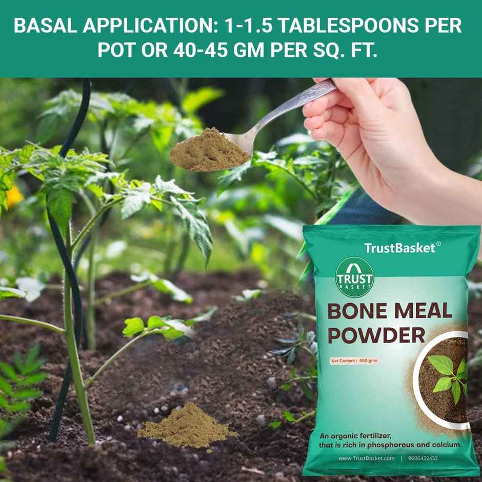 TrustBasket Bone Meal Fertilizer for Plants 450 Grams (Set of 1)