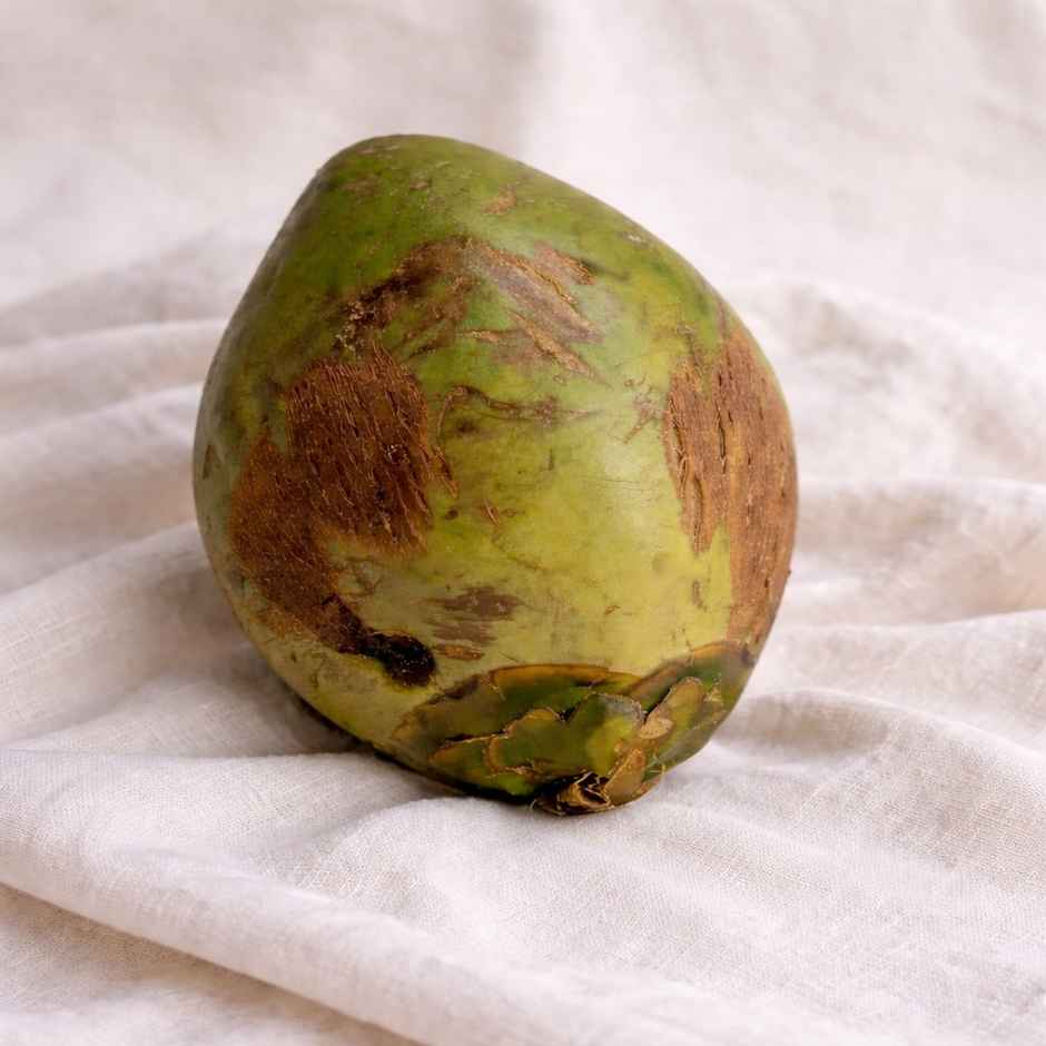 Tender Coconut Economy