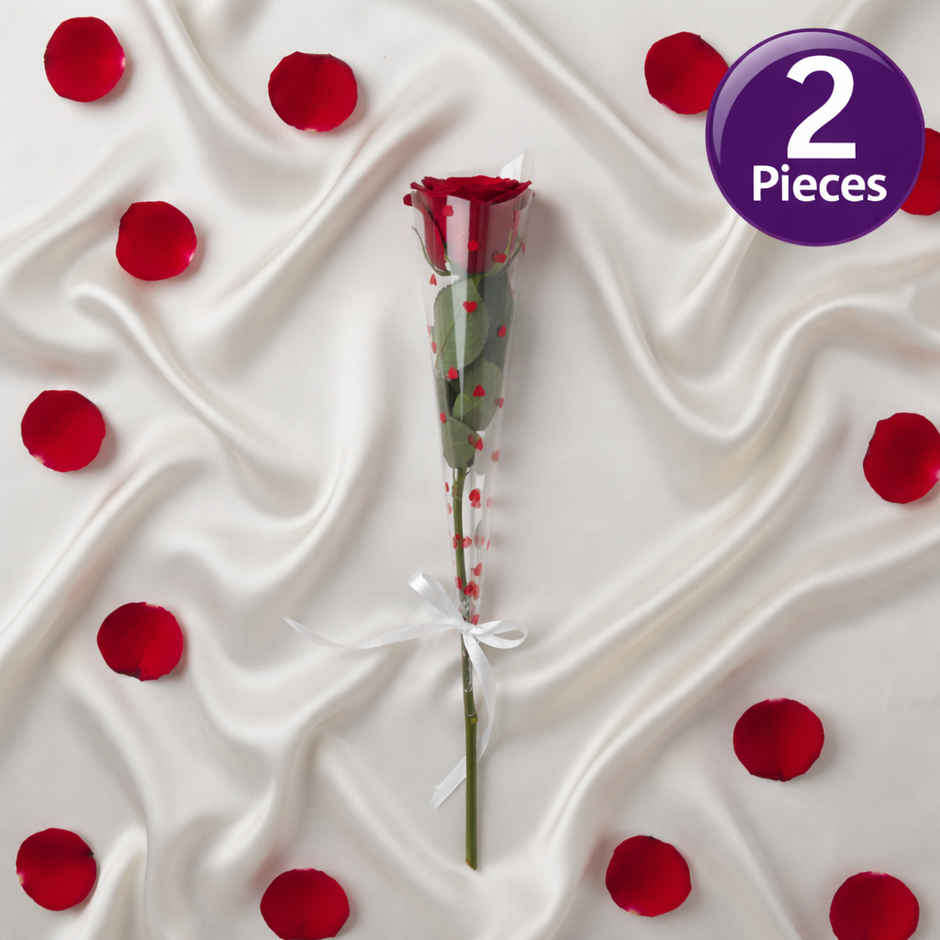 Single Red Rose Combo  