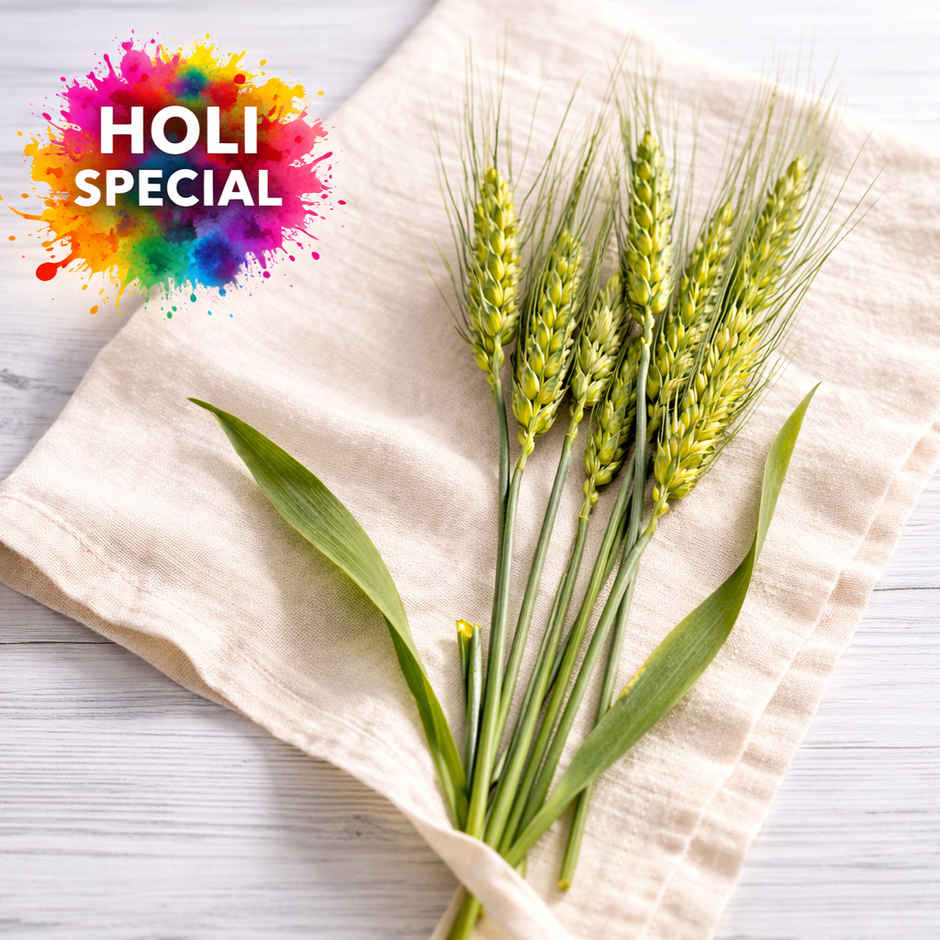 Wheat Grains (Gehu Ki Bali) - Holi Special