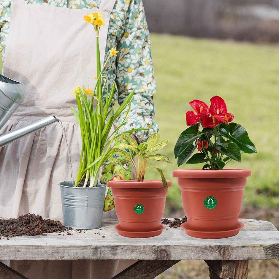 Cylindrical Plastic Plant Pot With Saucer | 8 inch | Brown