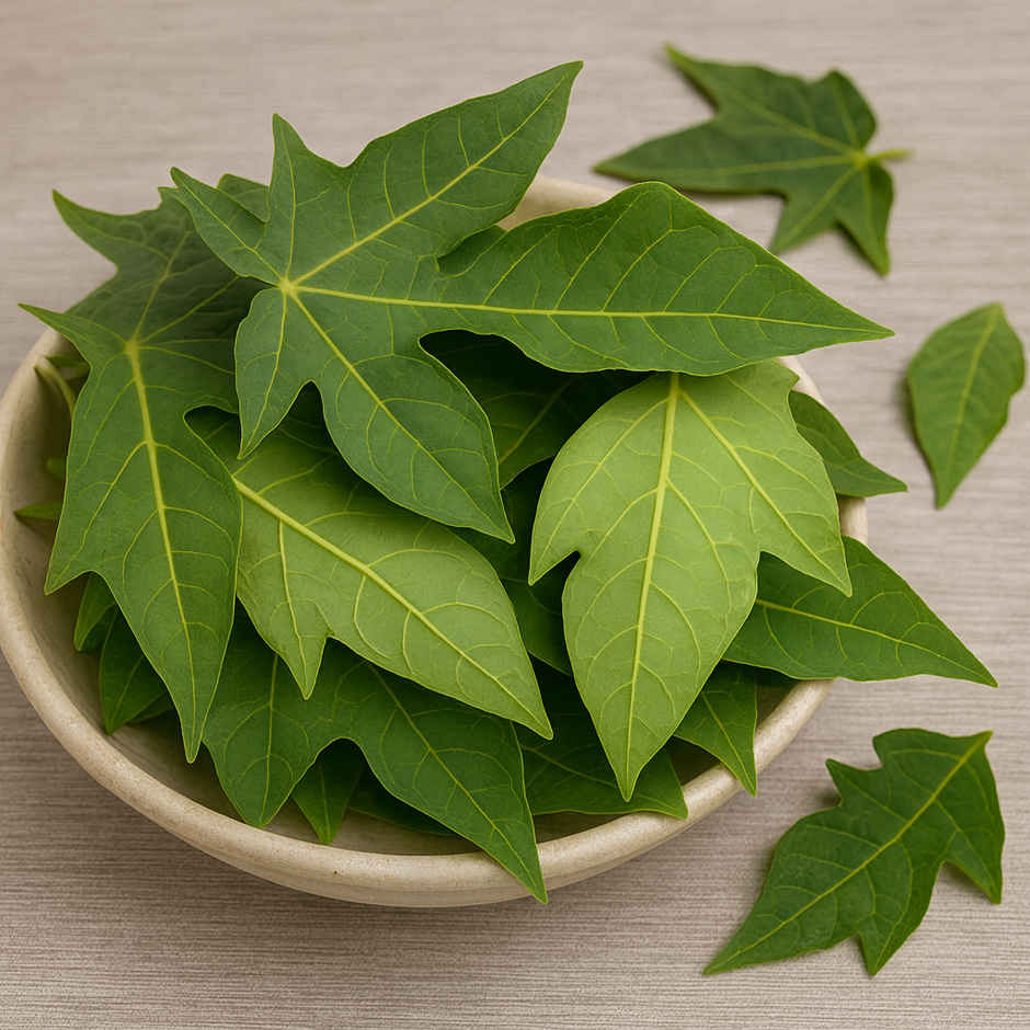 Papaya leaves