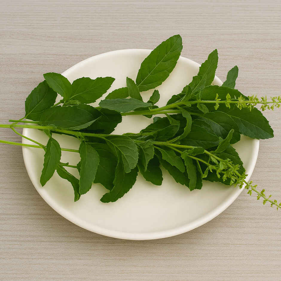 Tulsi leaves