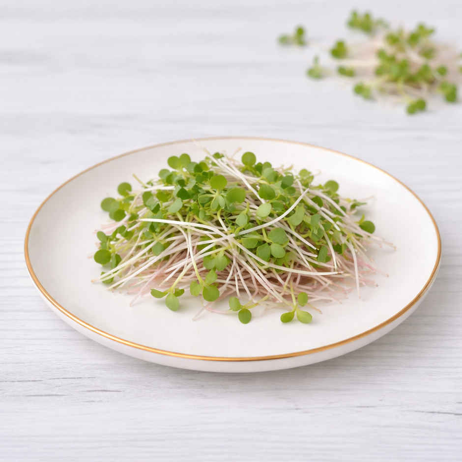 Radish Microgreens