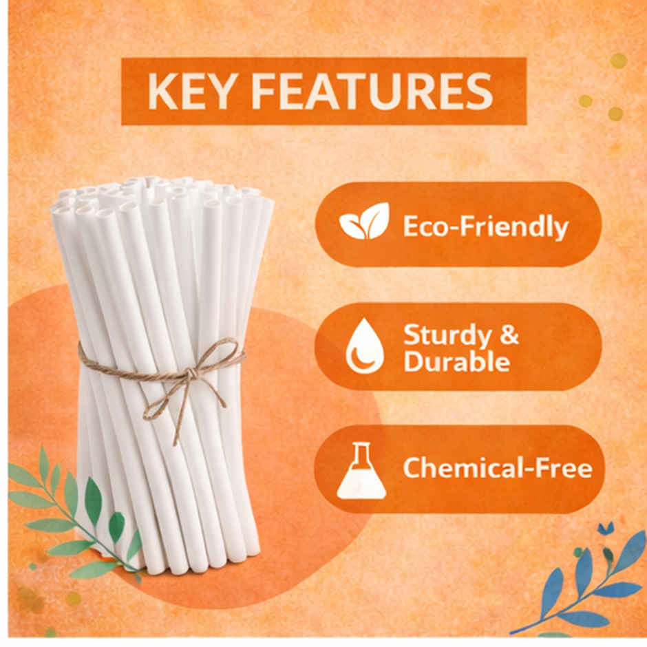 Ezee Disposable Paper Straws | 8 mm