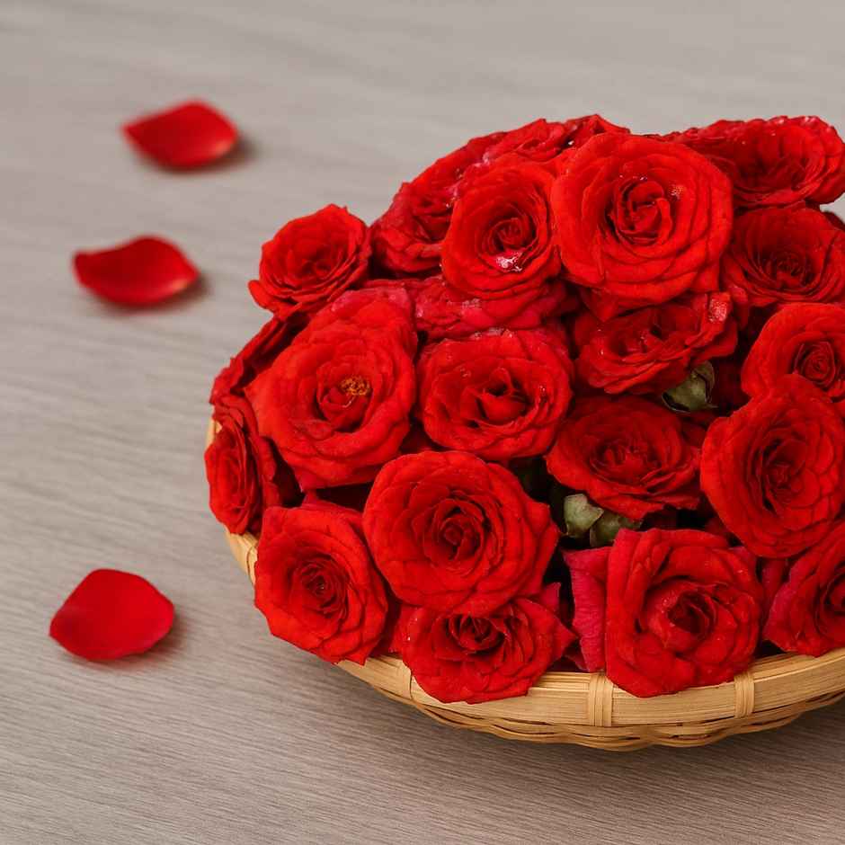 Assorted Roses