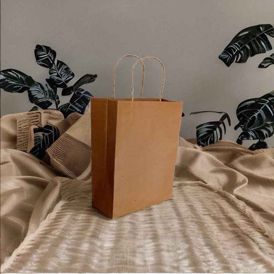 Tempware Paper Carry Bag 9x6x7 Weight Upto (1/2Kg) | Pack  of 10