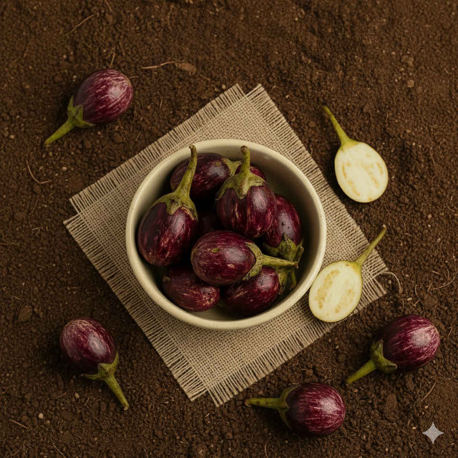 Organically Grown Brinjal