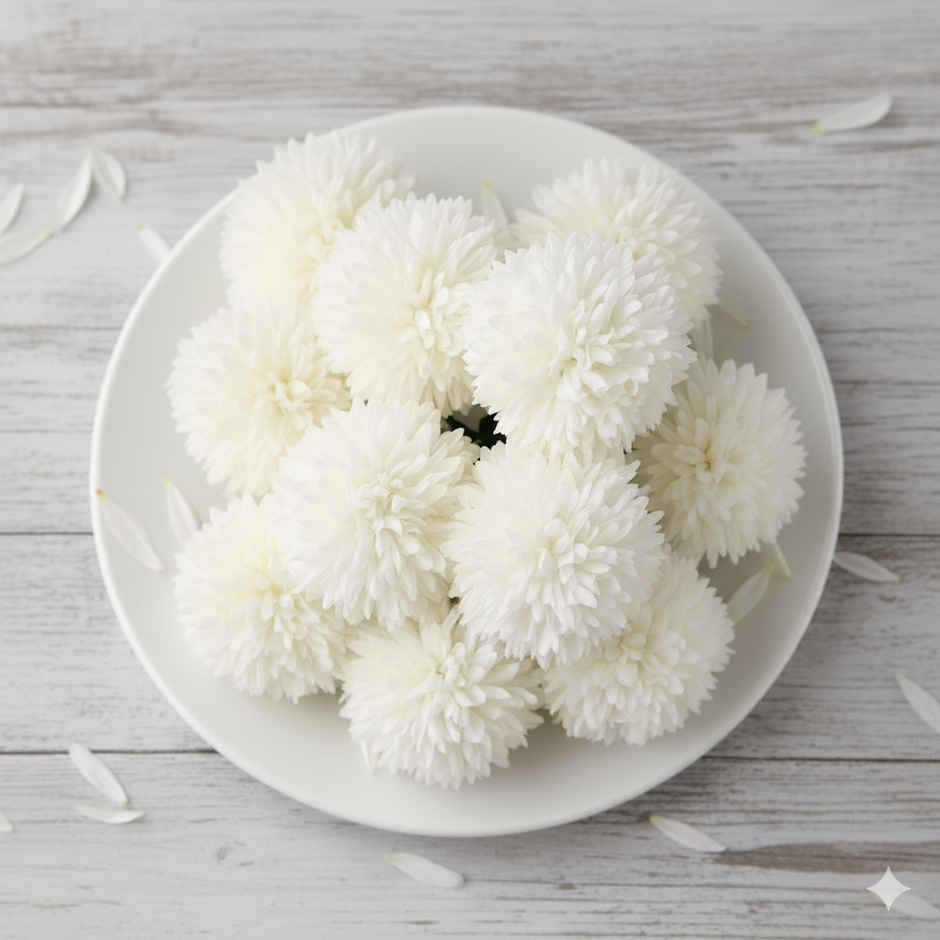 Chrysanthemum White