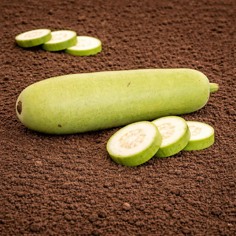 Organically Grown Bottle Gourd