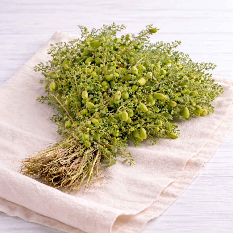 Chickpea Green (Hara Chana) - Holi Special