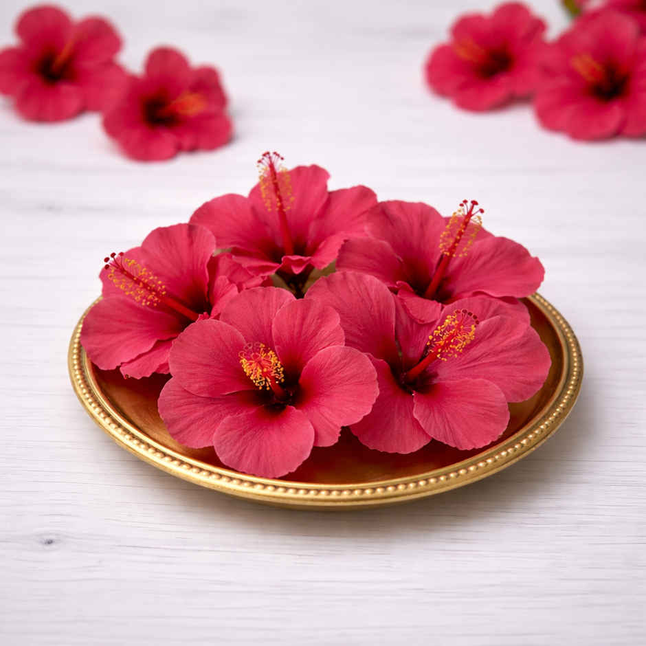 Hibiscus Flower