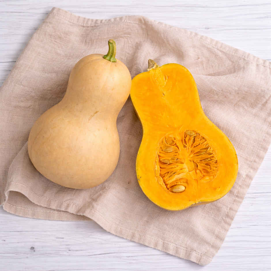 Butternut Squash 