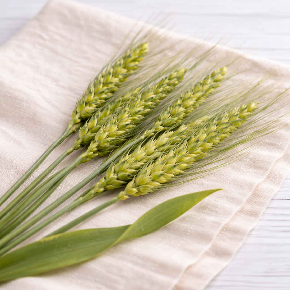 Wheat Grains (Gehu Ki Bali) - Holi Special