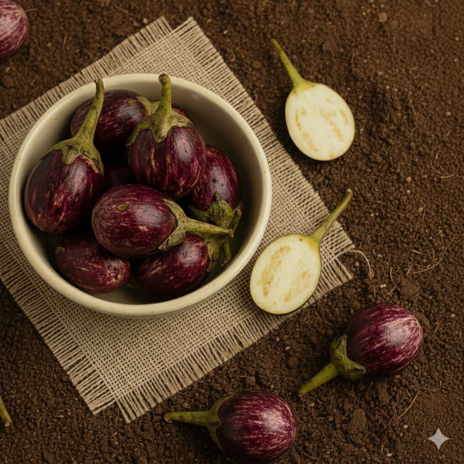 Organically Grown Brinjal