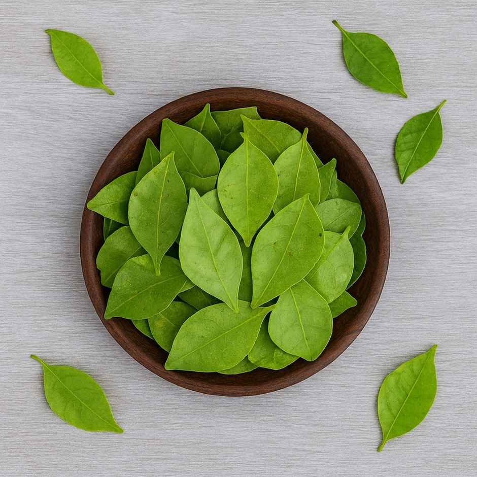 Bel Patra (Vilvam Leaves)