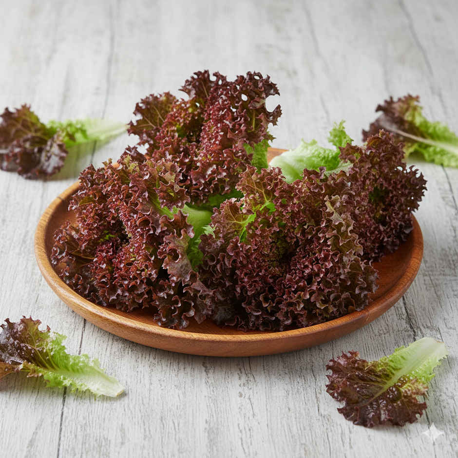 Lettuce Red