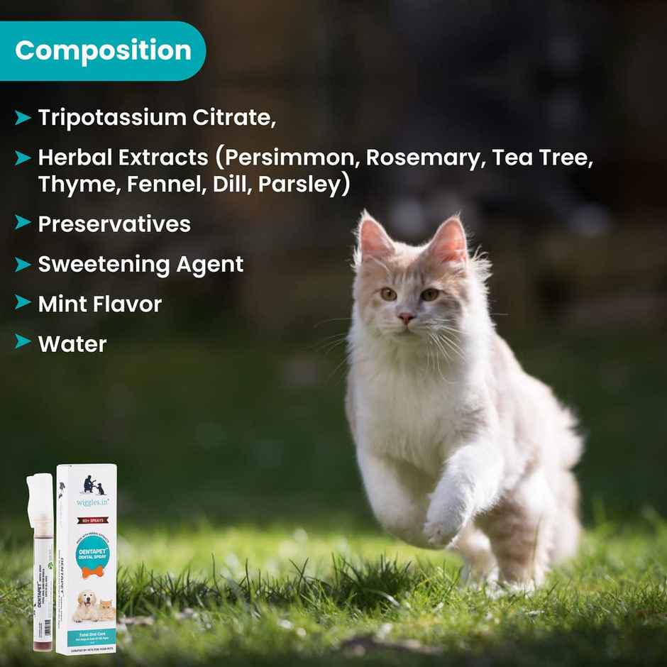 WIGGLES DentaPet Dog Mouth Freshener Spray, Dental Care Cat Teeth Cleaning Spray (Pack of 1)