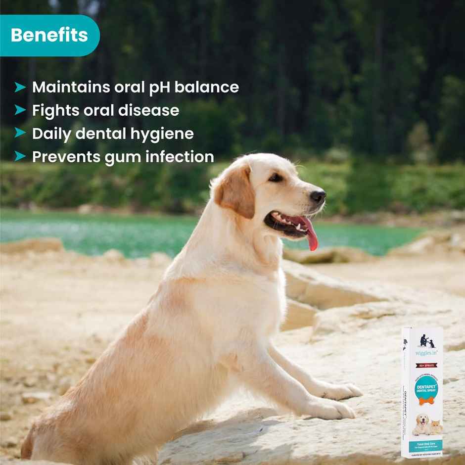 WIGGLES DentaPet Dog Mouth Freshener Spray, Dental Care Cat Teeth Cleaning Spray (Pack of 1)