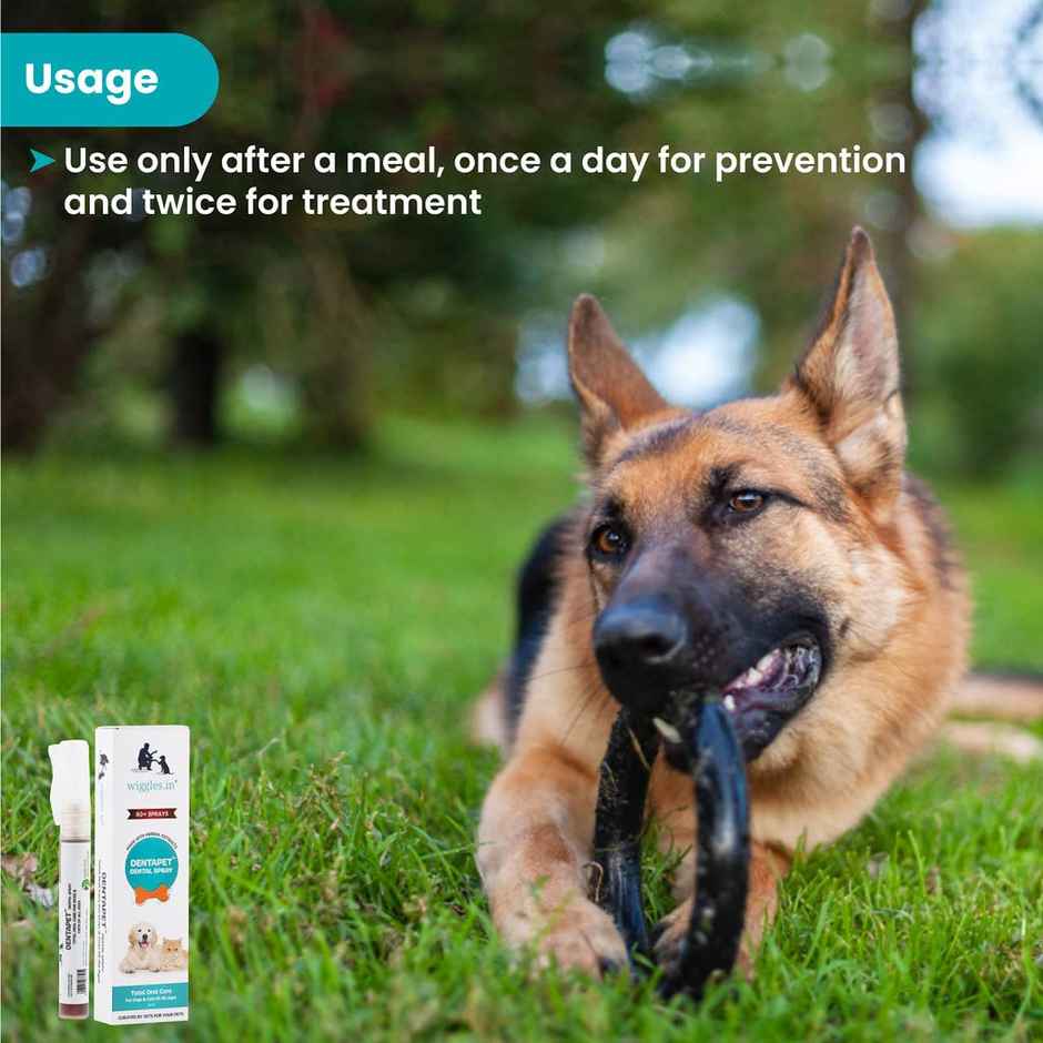WIGGLES DentaPet Dog Mouth Freshener Spray, Dental Care Cat Teeth Cleaning Spray (Pack of 1)
