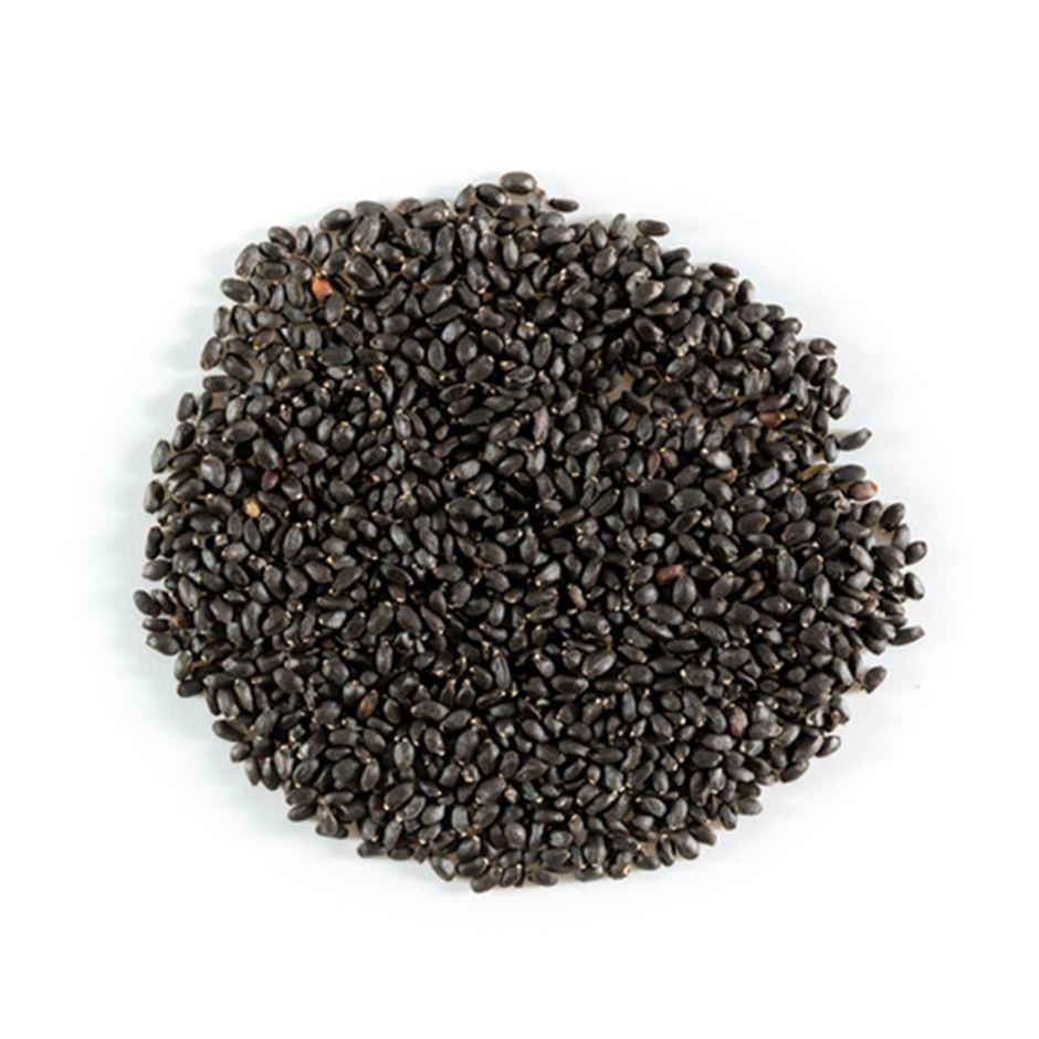 Nutritious Basil Seeds ( Sabja Dana)
