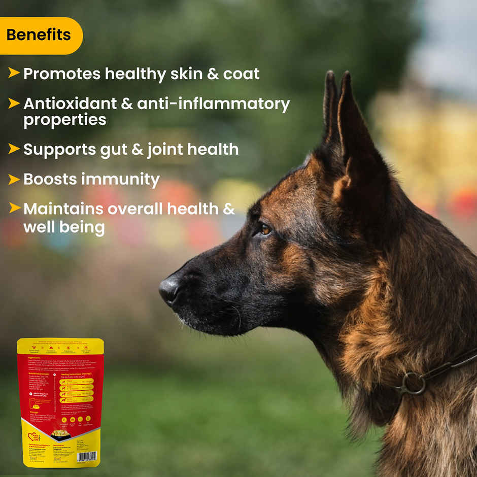 Wiggles Wet Dog Food, Chicken Vegetable Gravy Puppy Adult Senior Pets