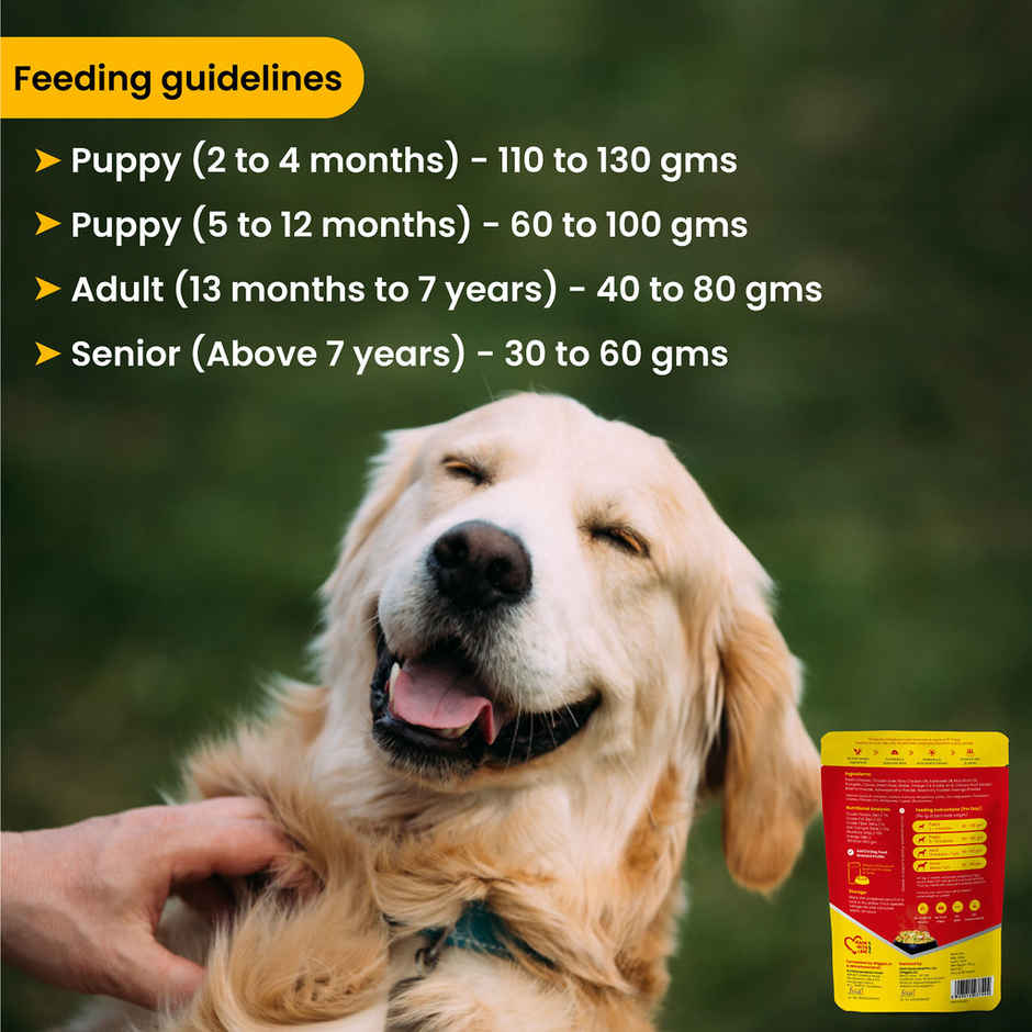 Wiggles Wet Dog Food, Chicken Vegetable Gravy Puppy Adult Senior Pets