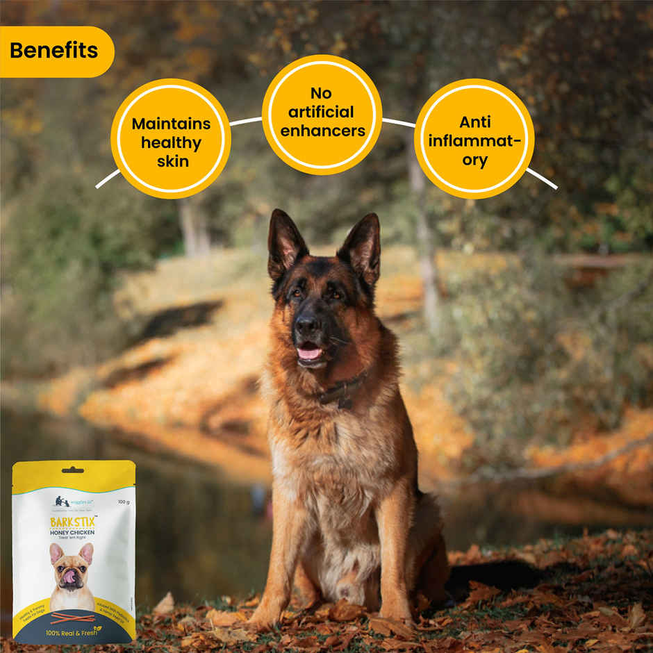 WIGGLES Barkstix Dog Treats for Training Adult Puppies, Hemp Seed Oil, Glucosamine (Honey Chicken)