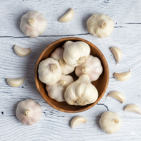 Organic Garlic