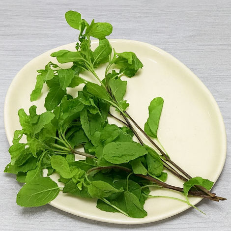 Tulsi Leaves
