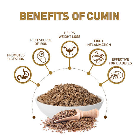 Natureland Organics Cumin Whole