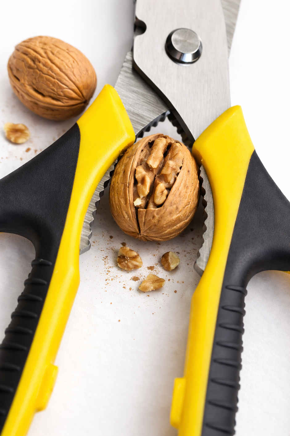 Petals All Purpose Multifunctional Kitchen/Household/Garden Scissor | 21 cm