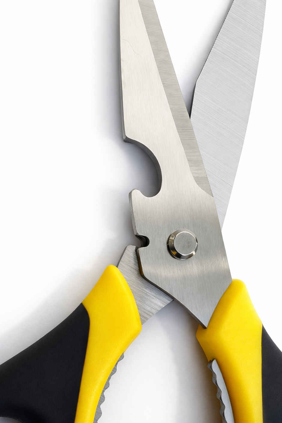 Petals All Purpose Multifunctional Kitchen/Household/Garden Scissor | 21 cm