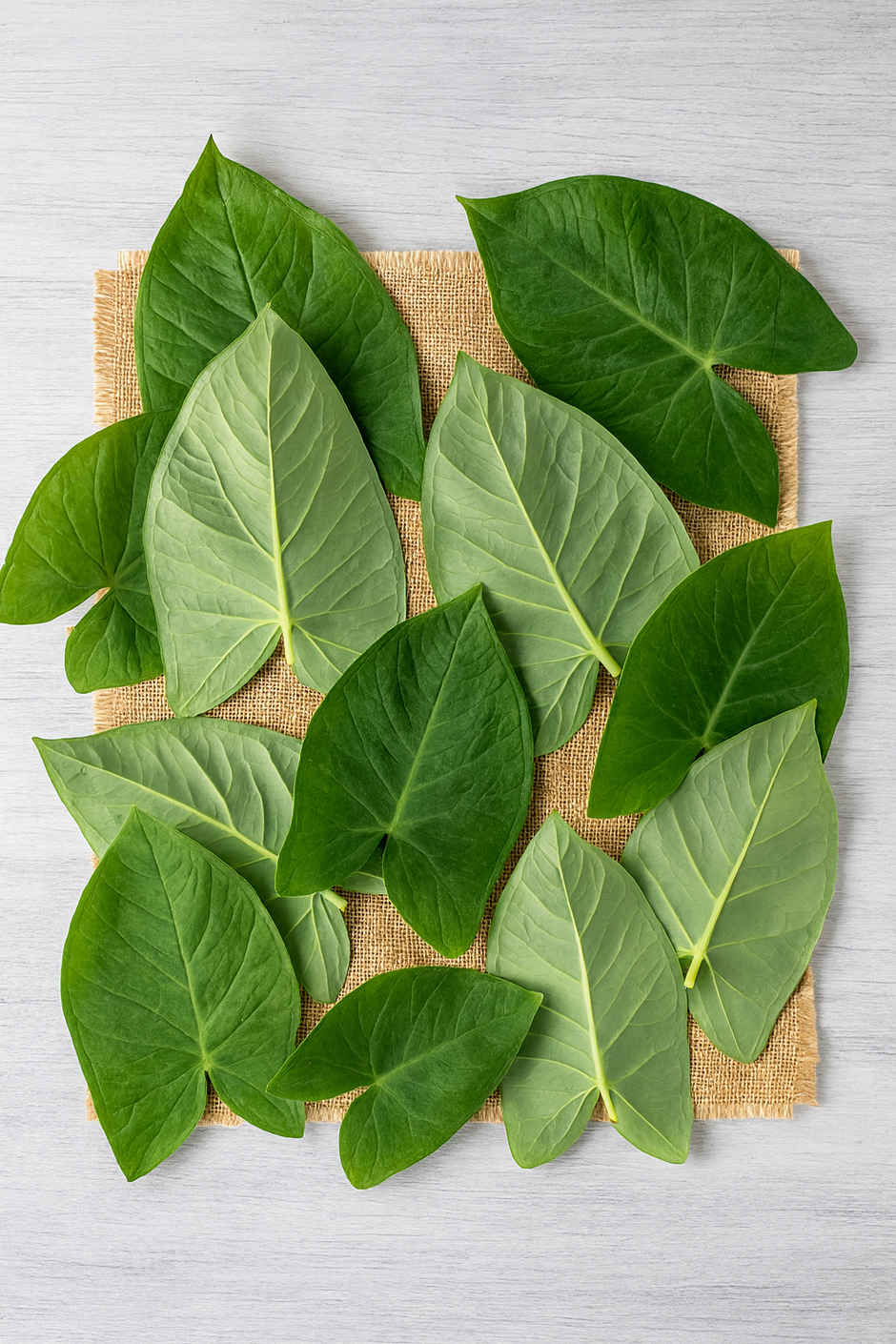 Colocasia Leaves (Arvi Patta)