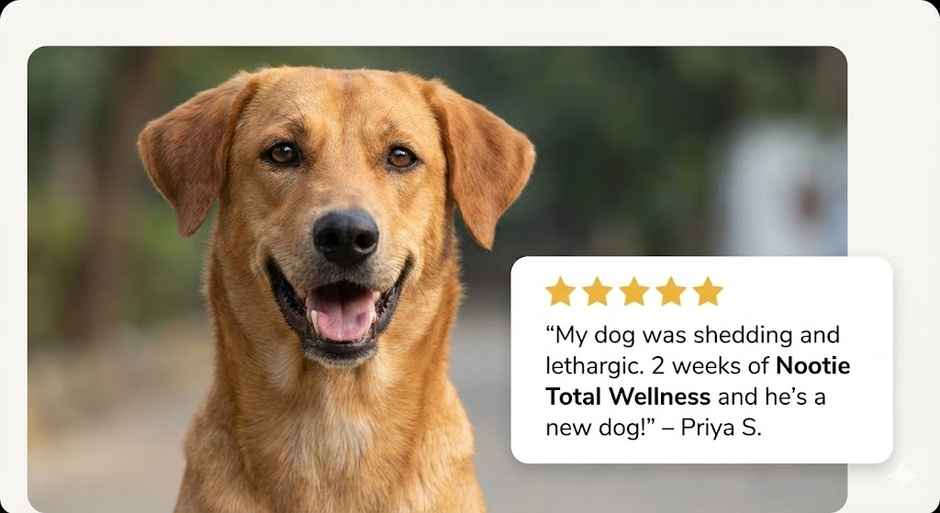 Nootie Total Wellness Multivitamin Dog Supplement