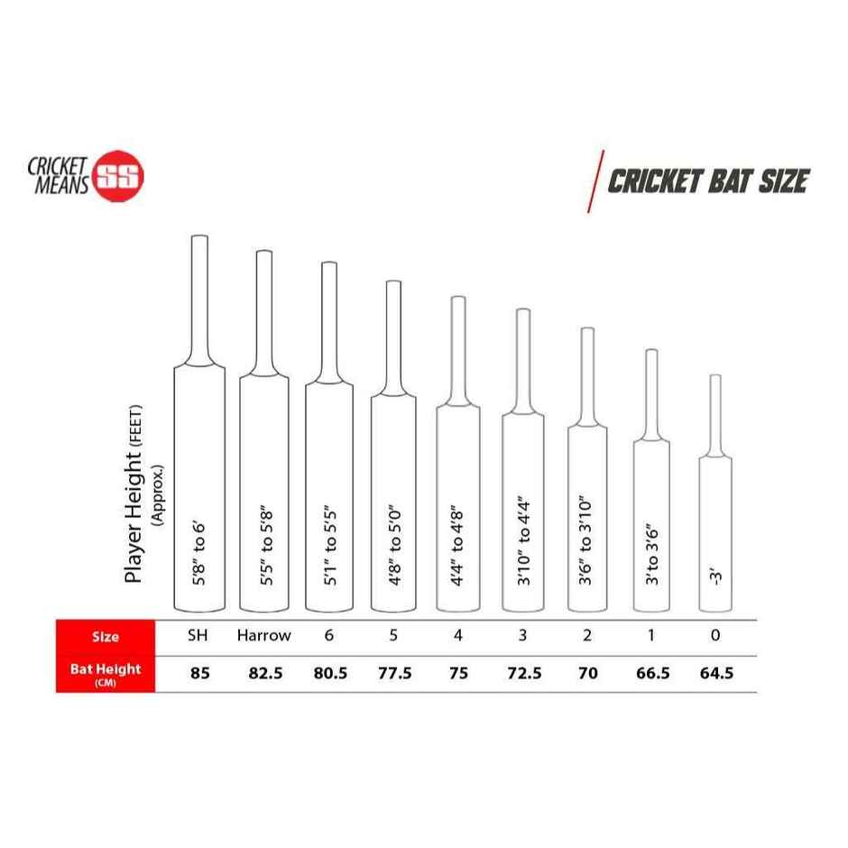 SS Master 100 Cricket Bat Full Size - SH