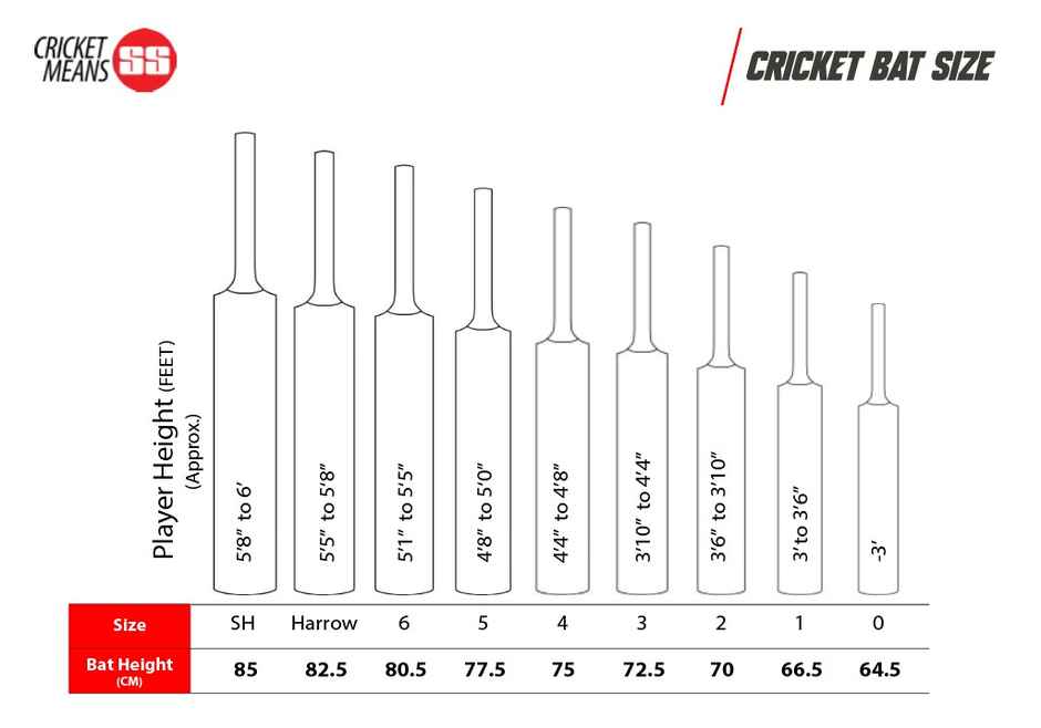 SS Master 100 Cricket Bat Full Size - SH